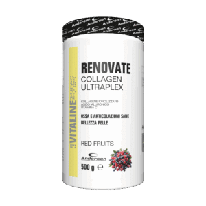 Renovate - Red Fruits
